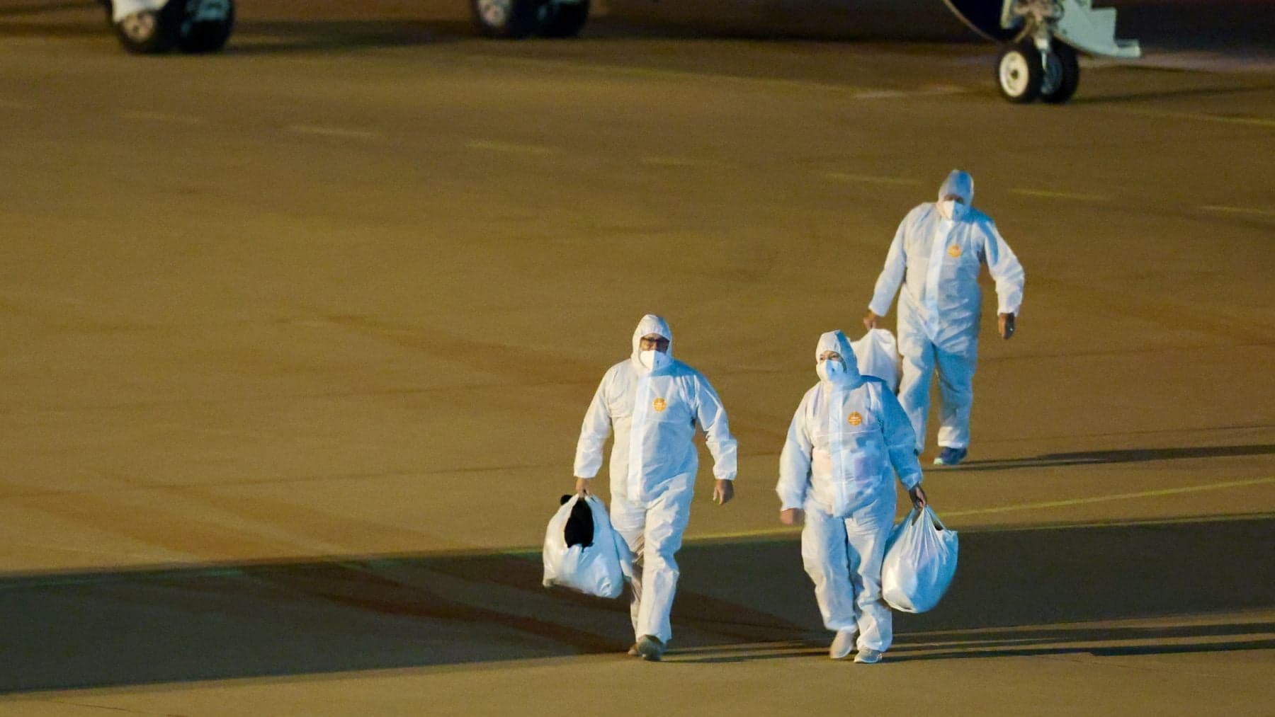 Brote de hantavirus en crucero